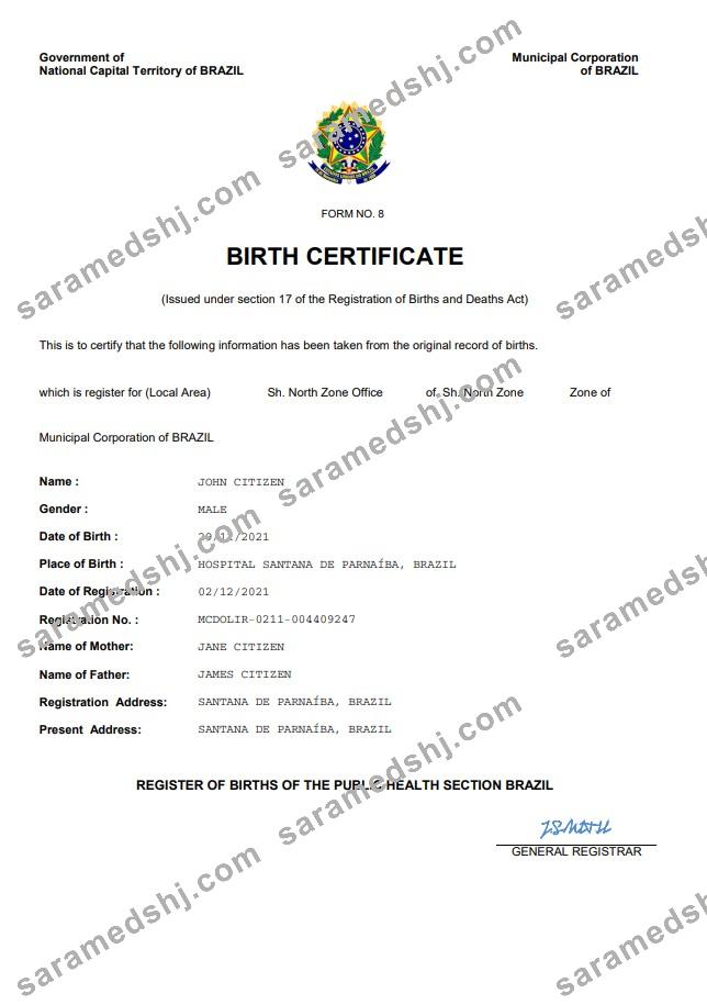 Brazil vital record birth certificate Word and PDF template